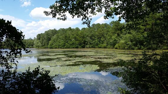 centennial lake