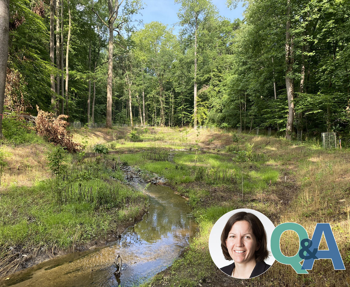 ASK A PROJECT MANAGER: TMDL STREAM RESTORATION AT ROSARYVILLE STATE PARK